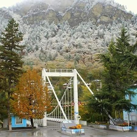 Tamarioni Ξενοδοχείο Borjomi Εξωτερικό φωτογραφία