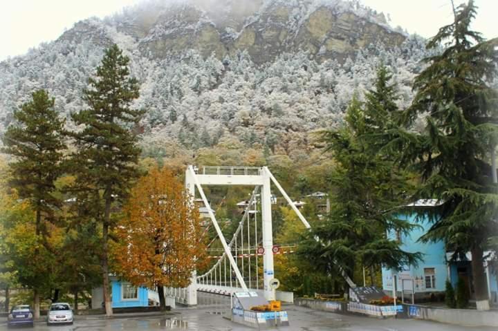 Tamarioni Ξενοδοχείο Borjomi Εξωτερικό φωτογραφία