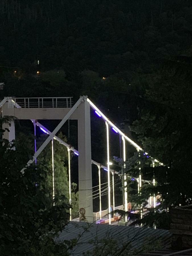 Tamarioni Ξενοδοχείο Borjomi Εξωτερικό φωτογραφία